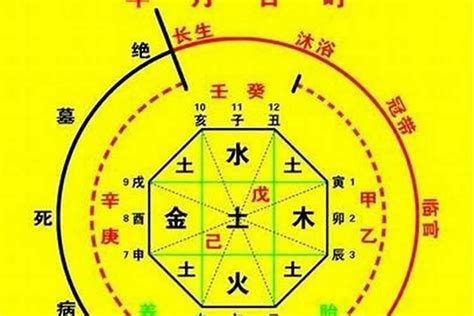 出生八字五行|生辰八字算命、五行喜用神查詢（免費測算）